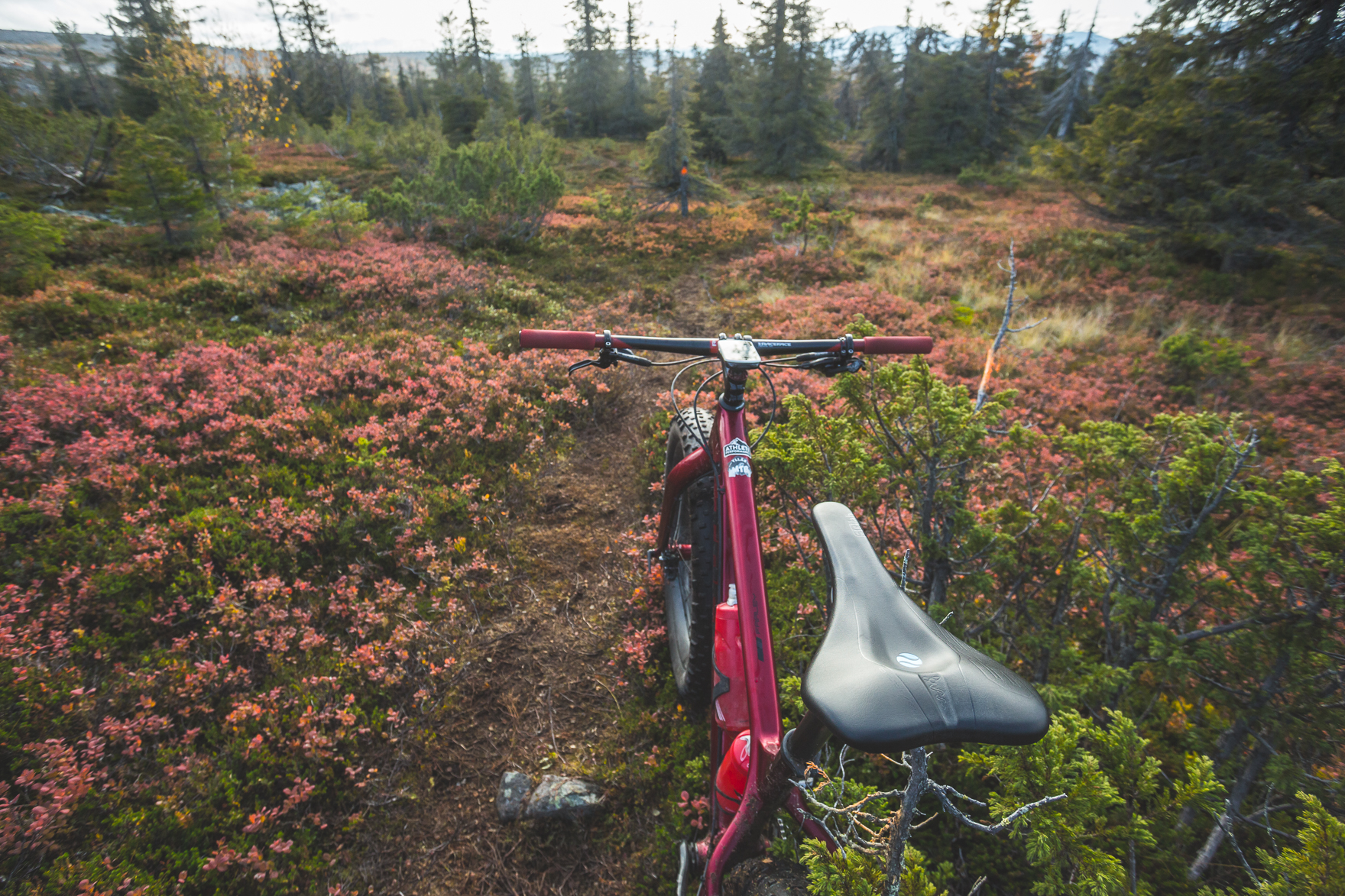 Aakenus – Pallas-Ylläs Outdoors