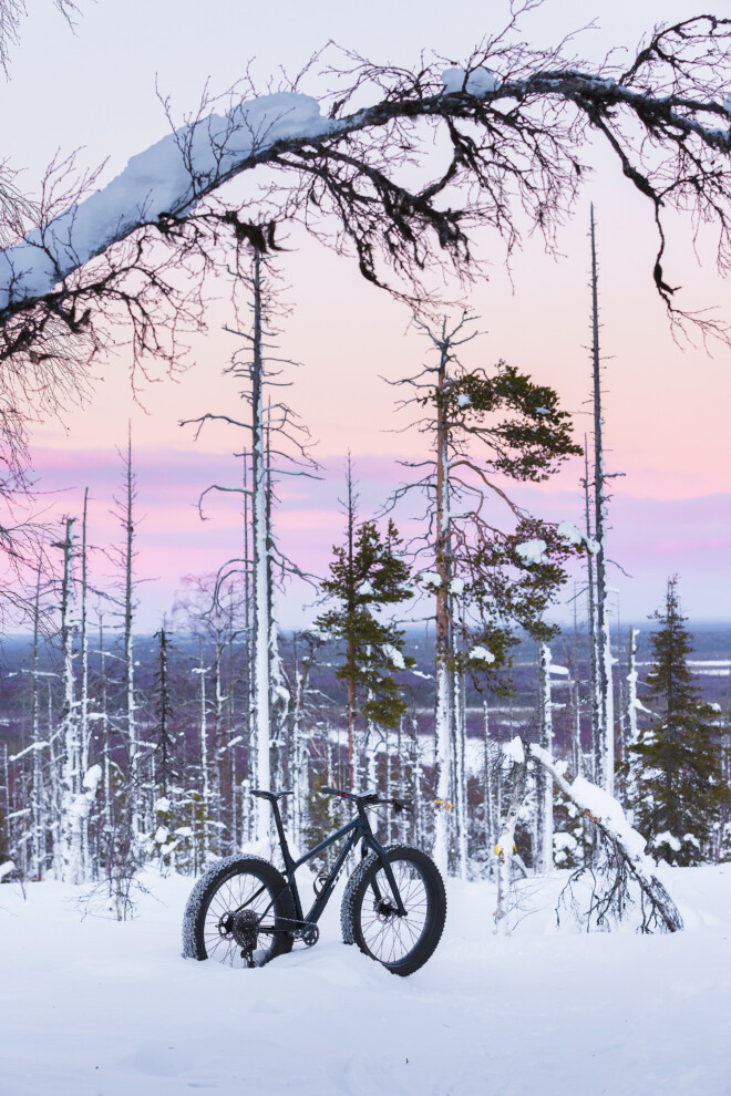 läskipyörä, fatbike, levi, kittilä, talvipolku, trek, farley