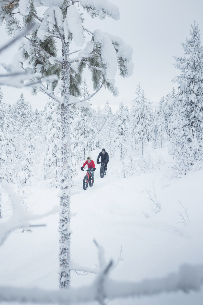 läskipyörä, talvipolku, levi, kittilä, fatbike